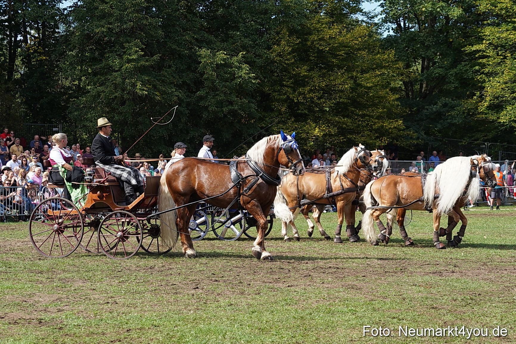 Pferde und Fohlenschau 2022 0257 